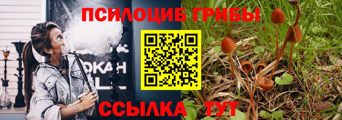 Галлюциногенные грибы GOLDEN TEACHER  Вход с VPN  Фурманов  Галлюциногенные грибы ЛСД 